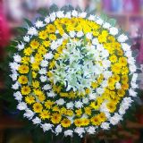 浦北开业花篮